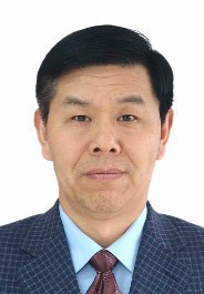 光场偏振分布测量及其应用